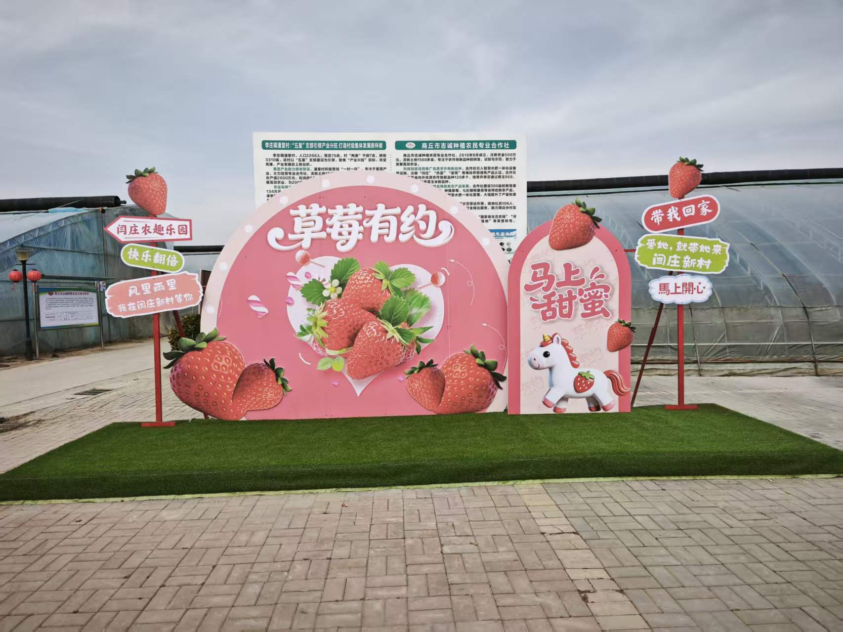 梁园区:盐碱地蝶变丰产田 七彩果映红振兴路(图1)