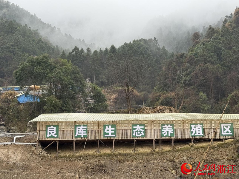 位于山林间的“良库四季三餐”基地。人民网记者 方彭依梦摄