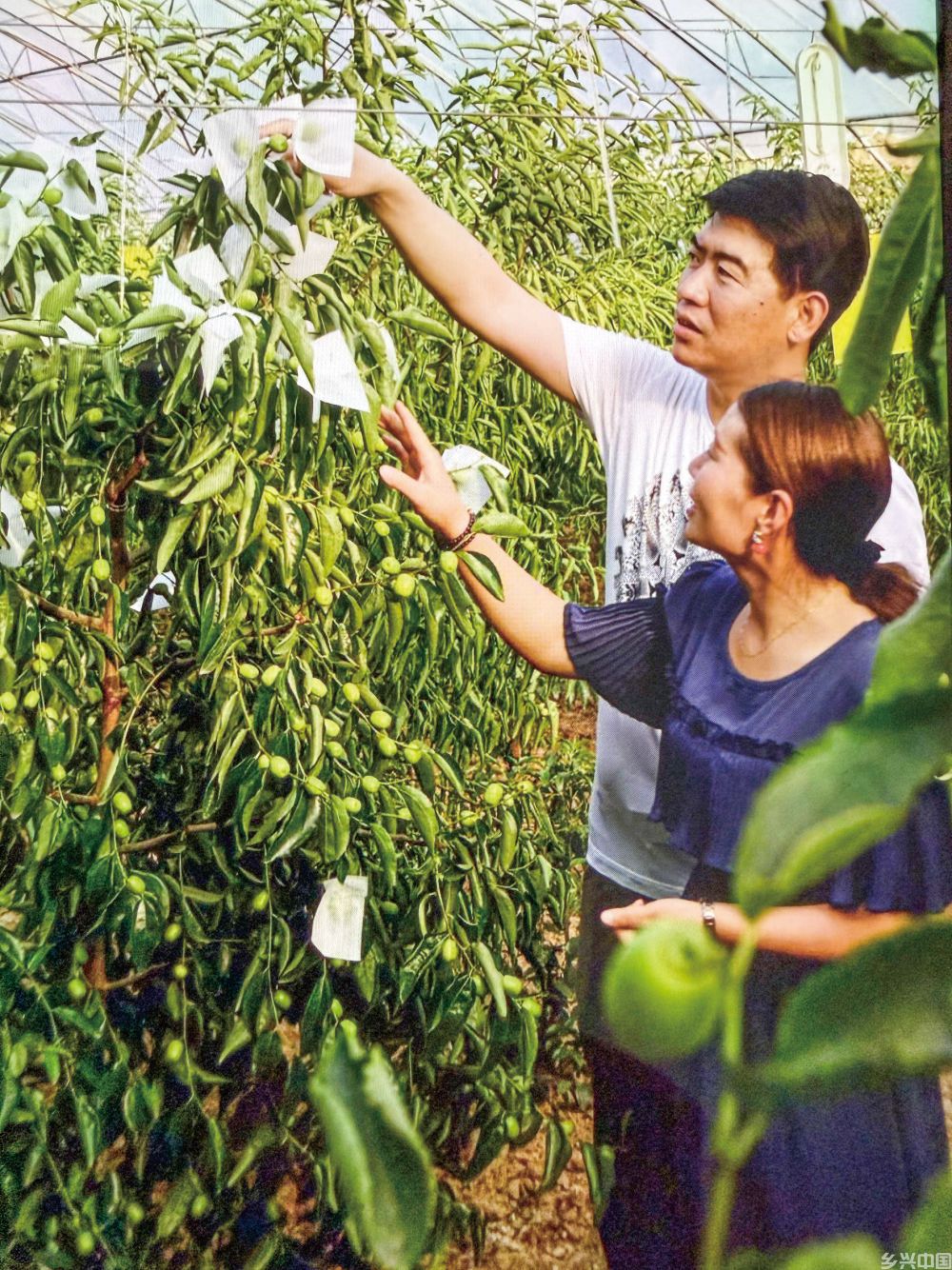 是山河变迁，是民意，也是希望(图3)