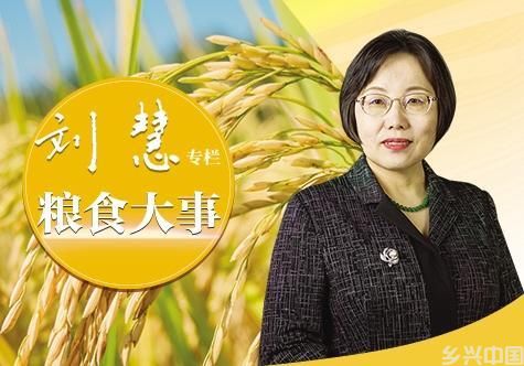 粮食产量产能要一起抓(图1)