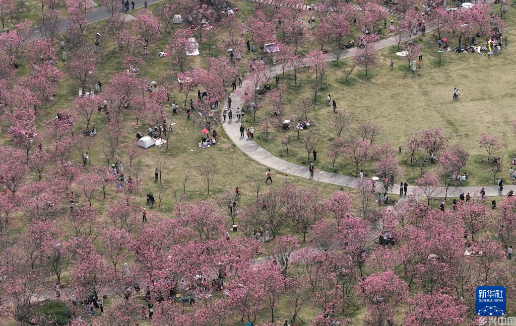 春光明媚赏花时(图2)