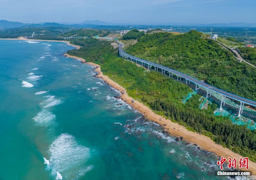 这块神奇的土地，咋还种出了“菠萝的海”？(图1)
