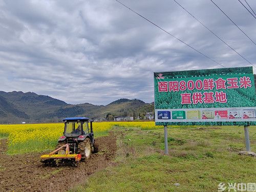微信图片_20260401232552_2_2478.jpg