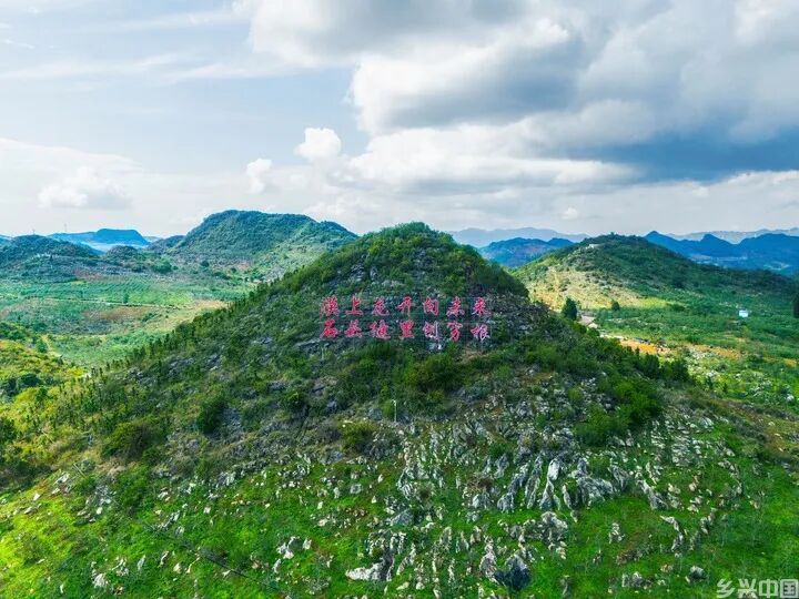 种下一棵苹果树(图5)