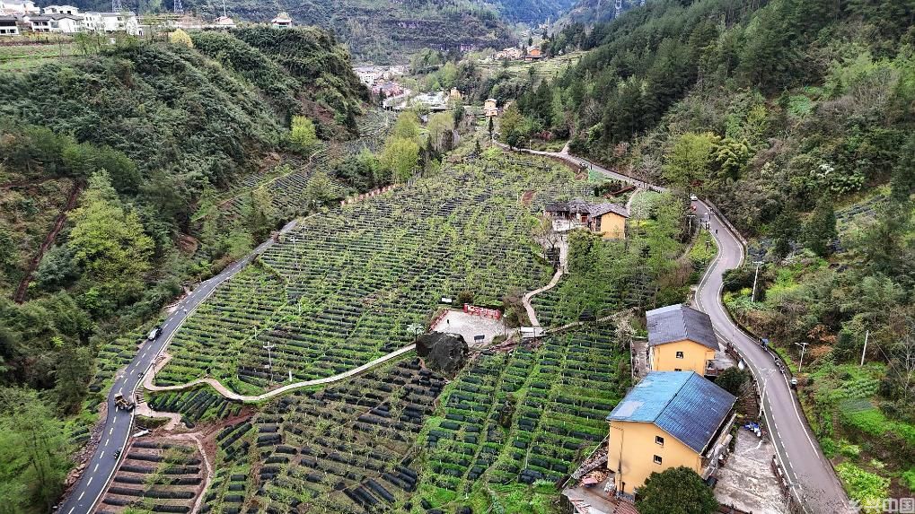 巴渝和美乡村建设见闻(图1)