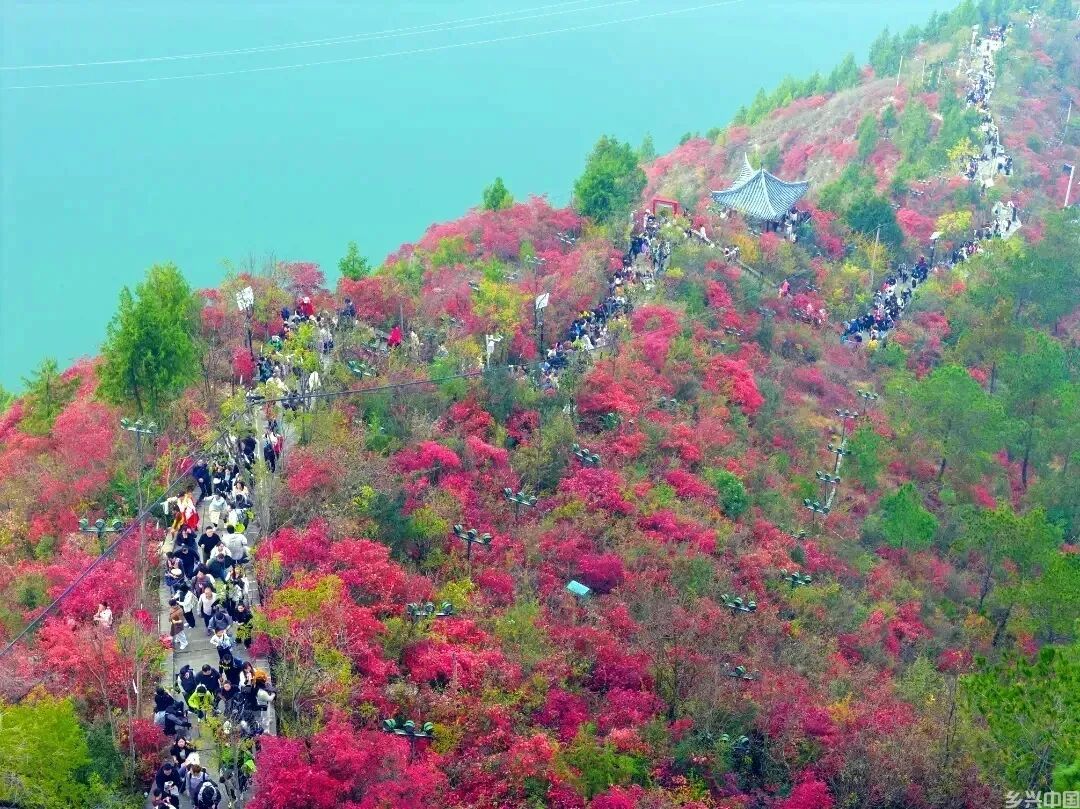 文旅转型新动向：从“经营景点”到“经营一座城”(图3)