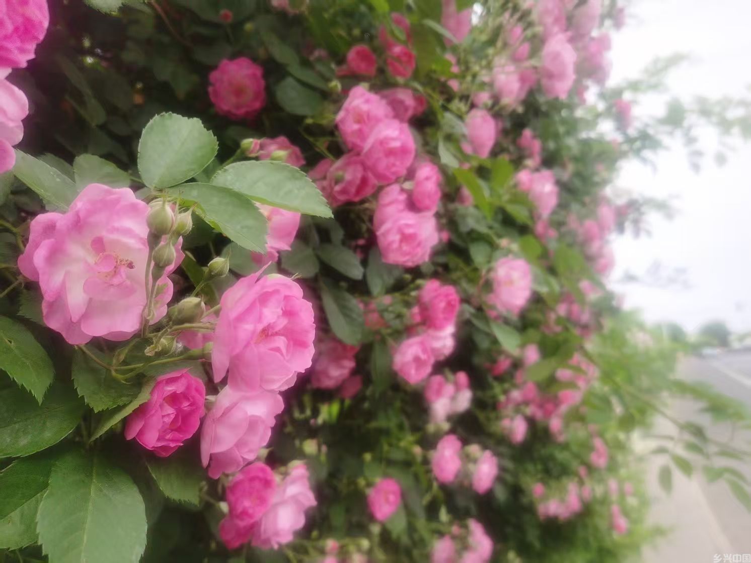 微信图片_20260507094717_225_18.jpg
