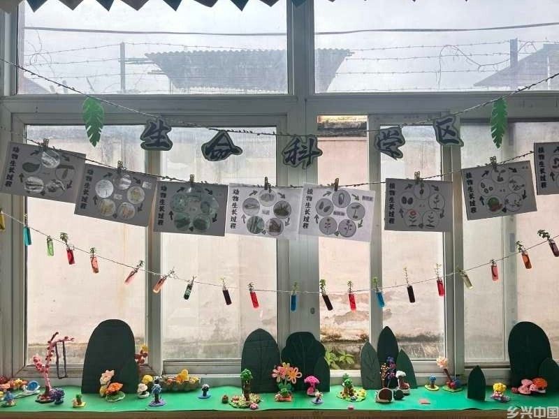 出圈!河南南召：这所小学的“最美班级”评选，藏着教育的温度与力量(图9)