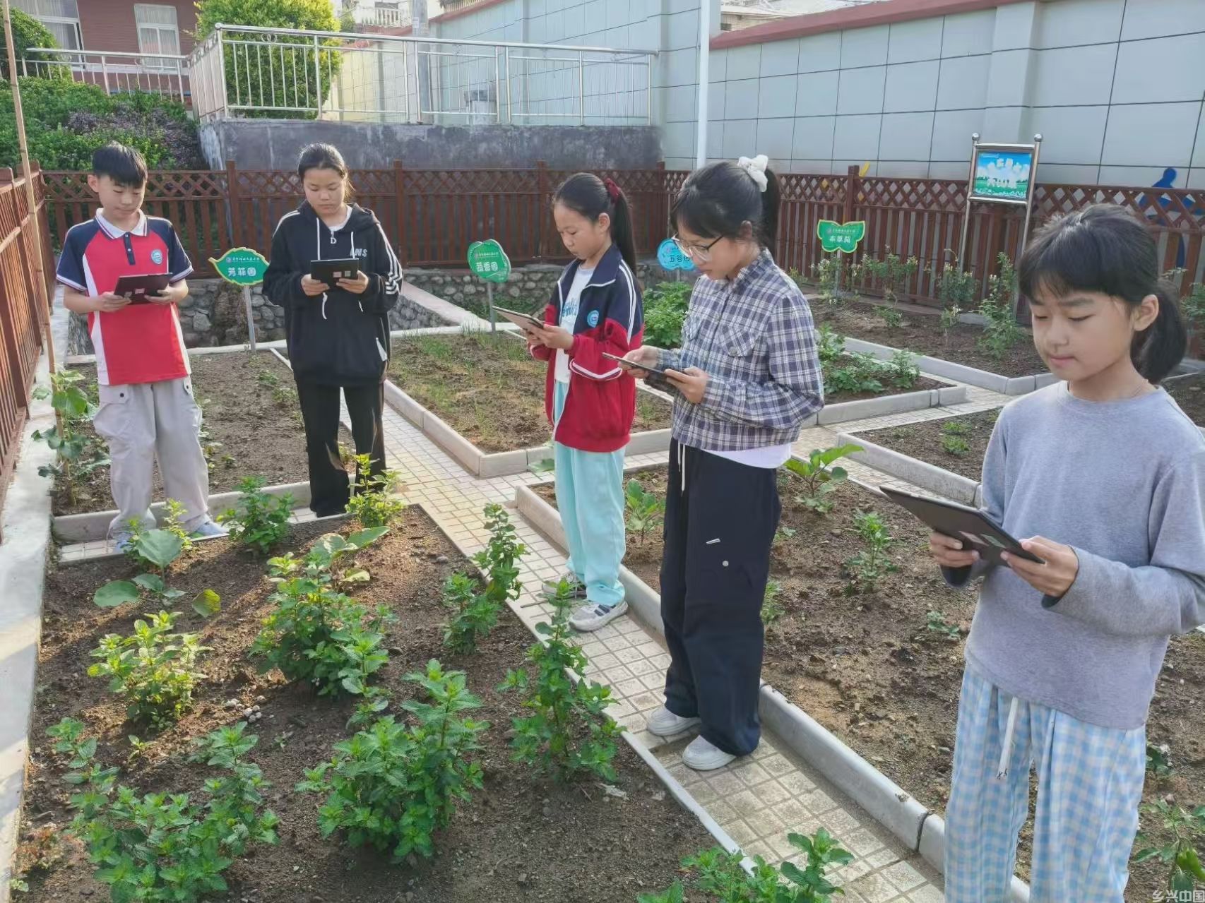 河南南召：让乡土资源活起来 现代科技用起来 传统文化传起来(图1)