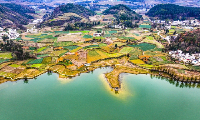 贵州黔西：产业兴 山村美