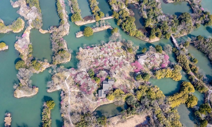 杭州：西溪湿地 曲水寻梅