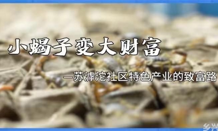 河南洛阳苏滹沱社区：小蝎子变