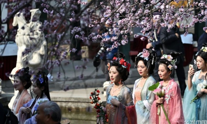春风和煦 桃花初绽