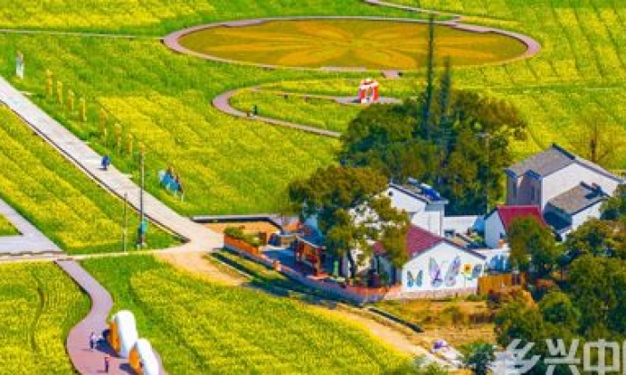 浙江宁波：春到山村美如画