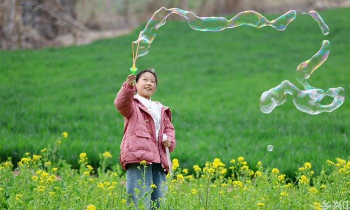 踏青赏花 乐享春光