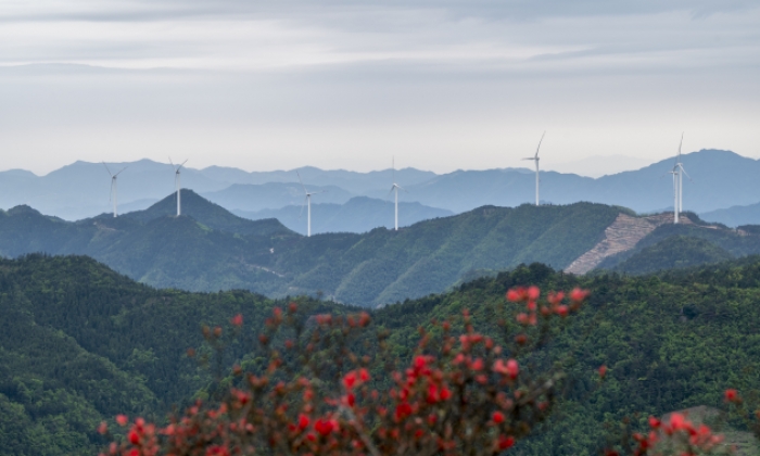 浙江金华：高山风电助力低碳减排