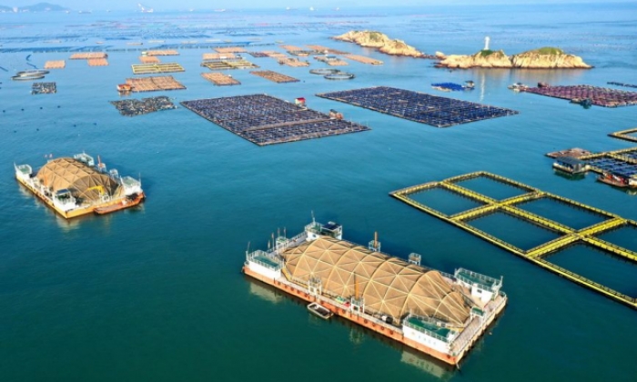 福建连江：深耕现代化“海上粮仓”