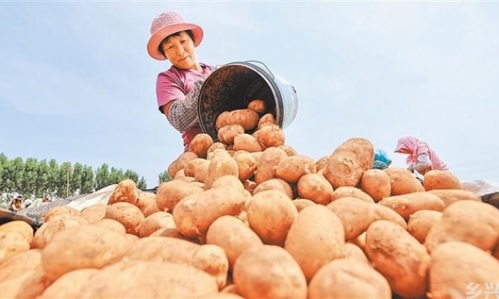 丰景入画来