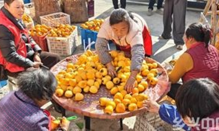安徽歙县：柿红姬公尖