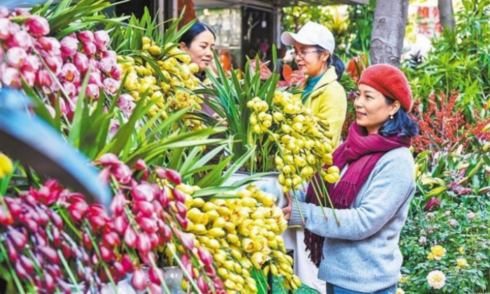 繁花迎春