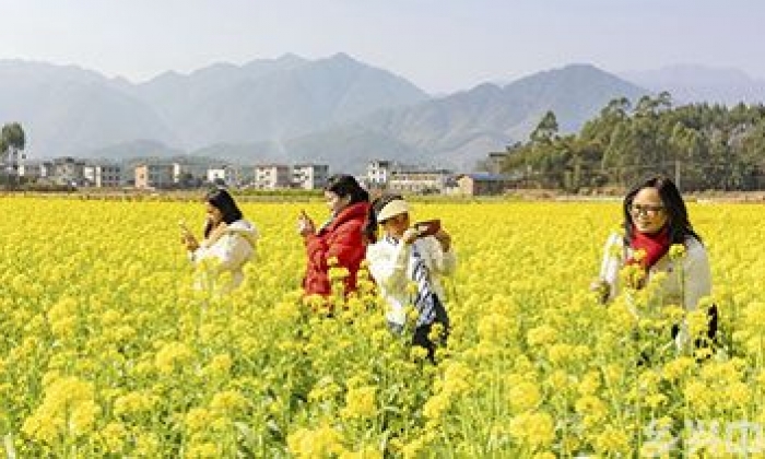 广西蒙山：春暖花开乡村美