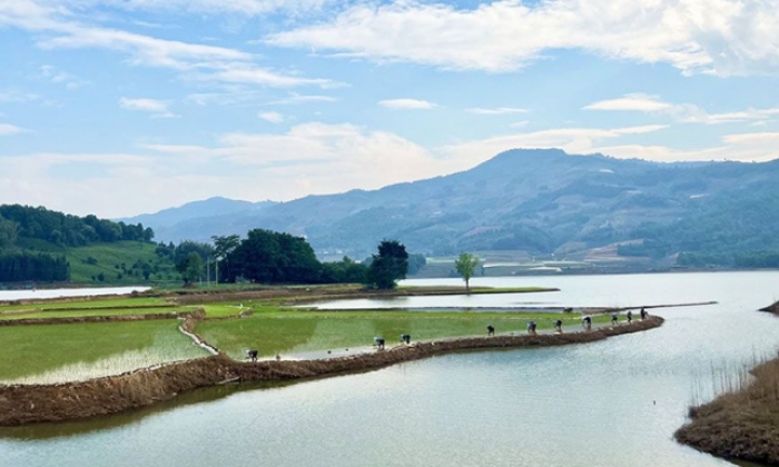 “天鹅湖”边“种”春色