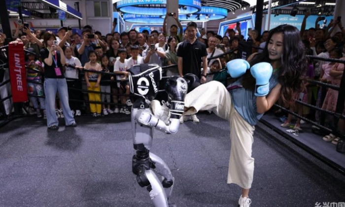 2025世界机器人大会在北京开幕