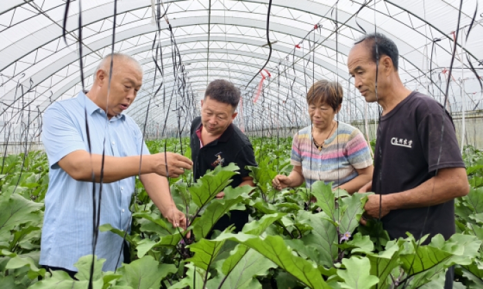 菜王传“技” ，“小西瓜”促进“大就业”