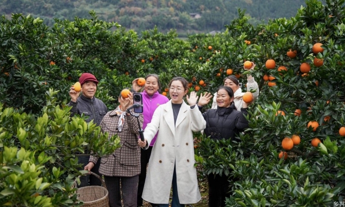 手机变农具，这里的村支书“带火”家乡味
