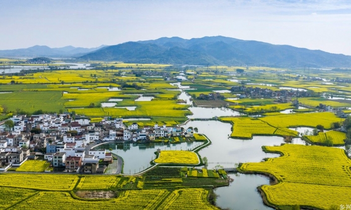 安徽芜湖：江南水乡春景如画