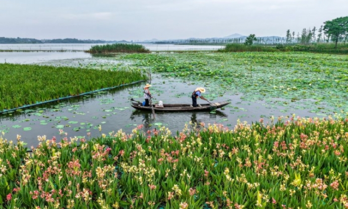 策湖湿地护清波