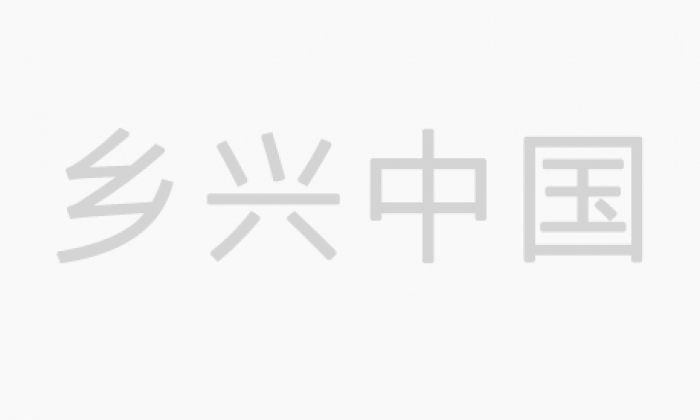 西峡2024年元宵节期间部分