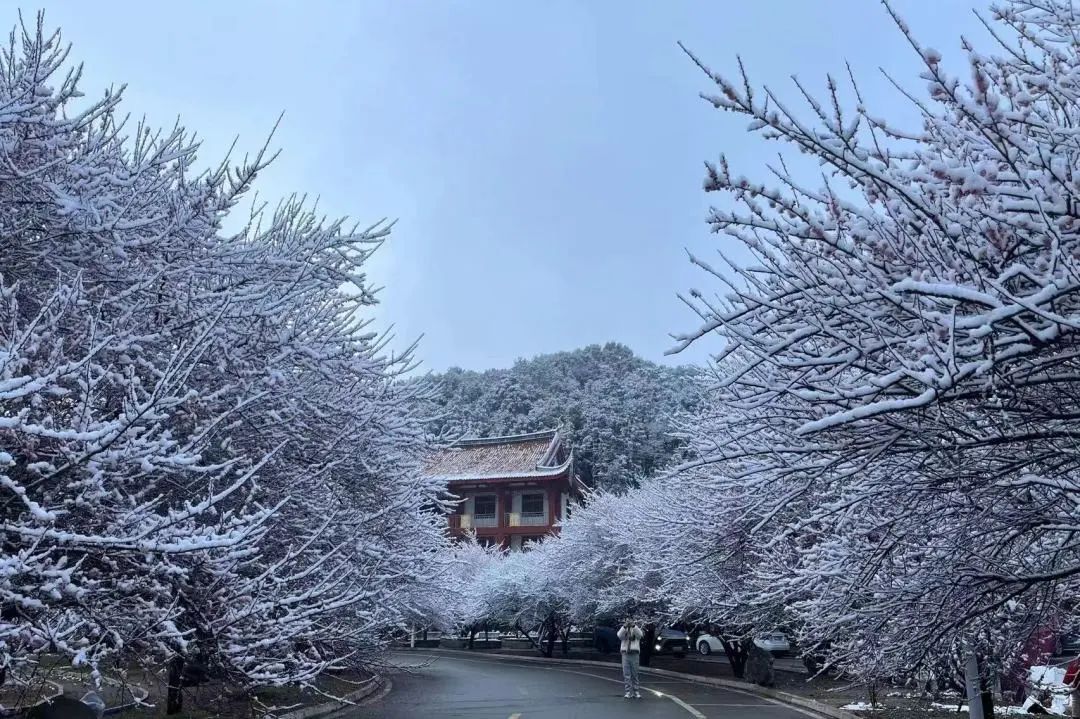 微信图片_20240124090923.jpg