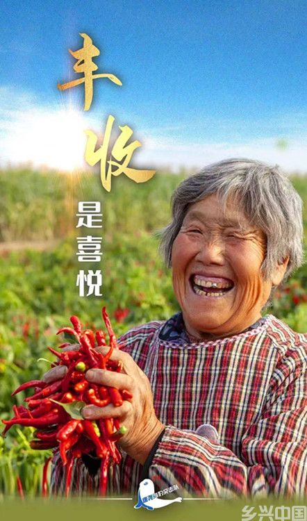 微信图片_20240922063426.jpg