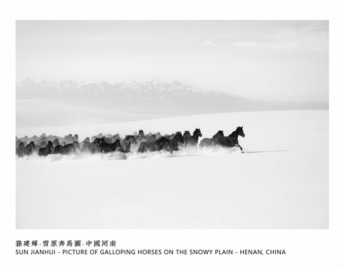 4、孙建辉-雪原奔马图-中国河南 Sun Jianhui - Picture of Galloping Horses on the Snowy Plain - Henan, China.jpg