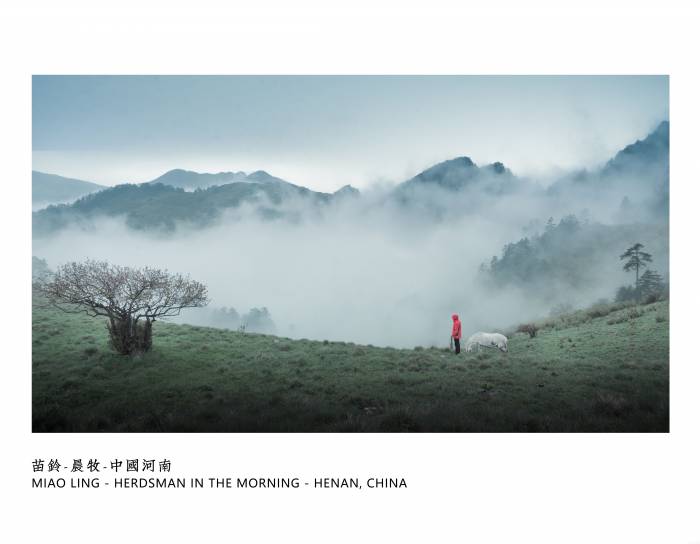 23、苗铃-晨牧-中国河南 Miao Ling - Herdsman in the Morning - Henan, China.jpg