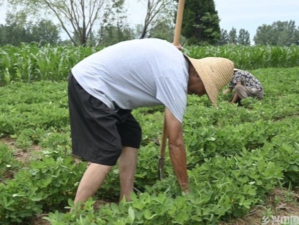 村民耕种.jpg